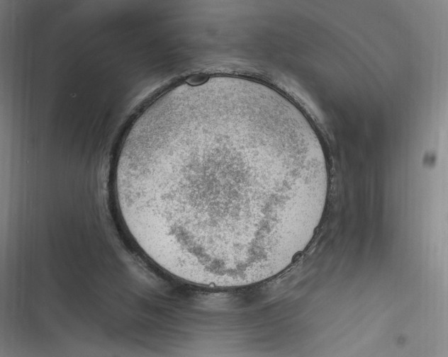 X0000116620058201001081240