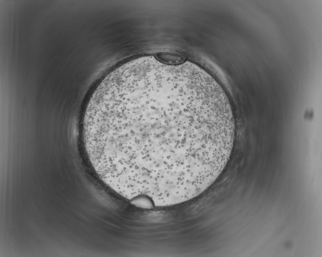 X0000116620059201001081240