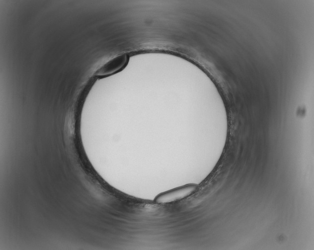 X0000116620060201001081240