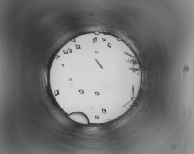 X0000116620061201001081240