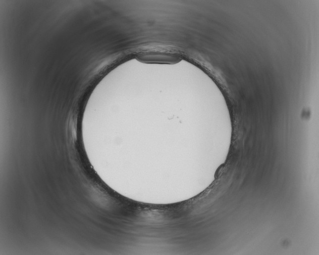 X0000116620062201001081240