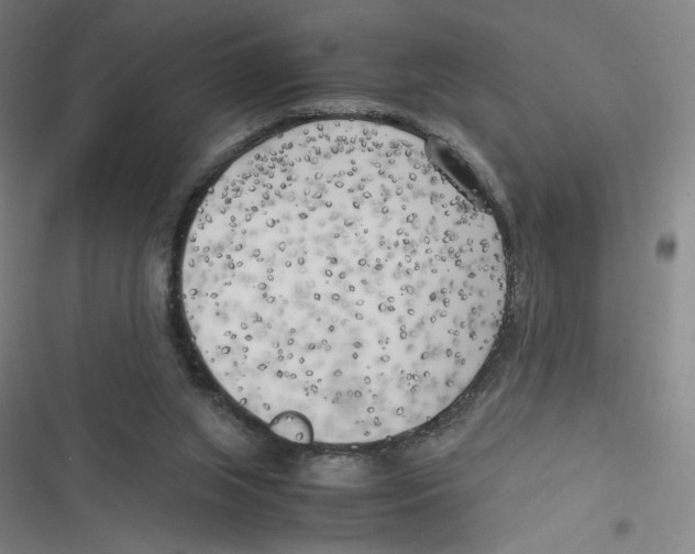 X0000116620063201001081240