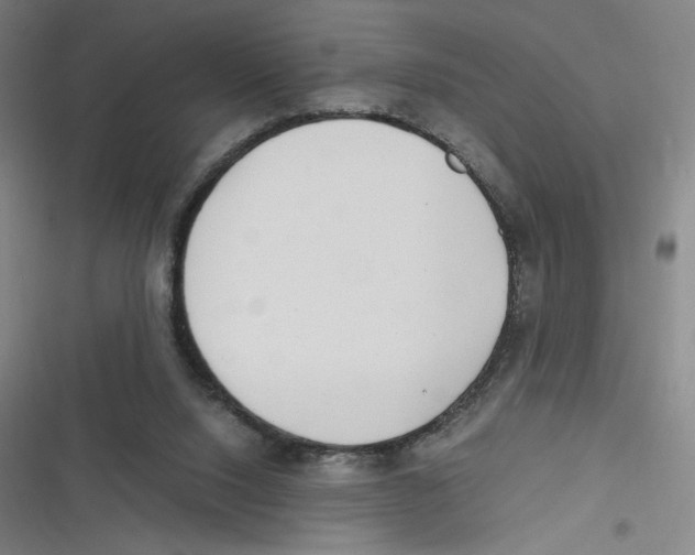 X0000116620064201001081240