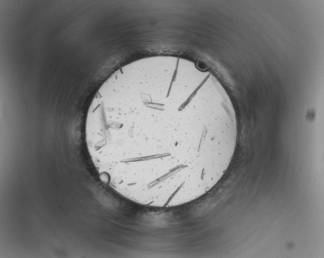 X0000116620065201001081240