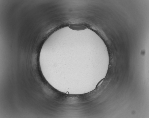 X0000116620066201001081240