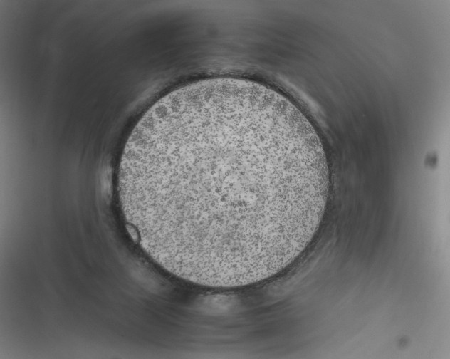 X0000116620067201001081240