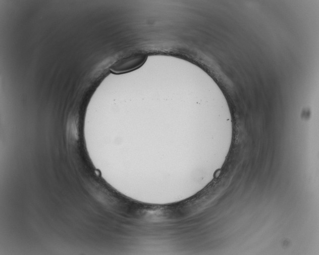 X0000116620068201001081240