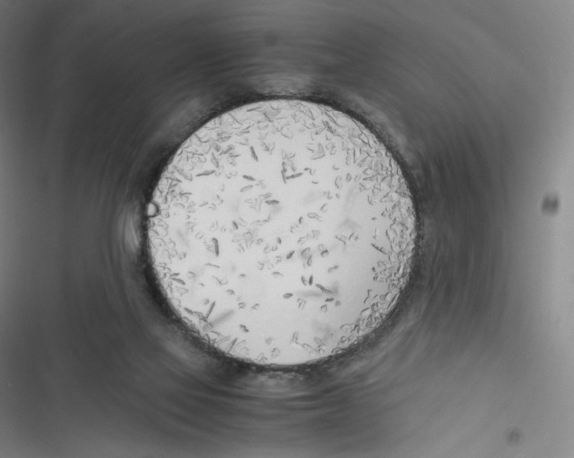 X0000116620069201001081240