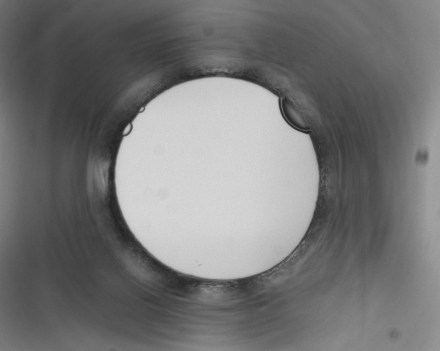 X0000116620070201001081240