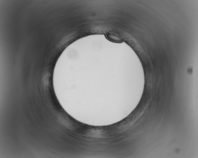 X0000116620071201001081240