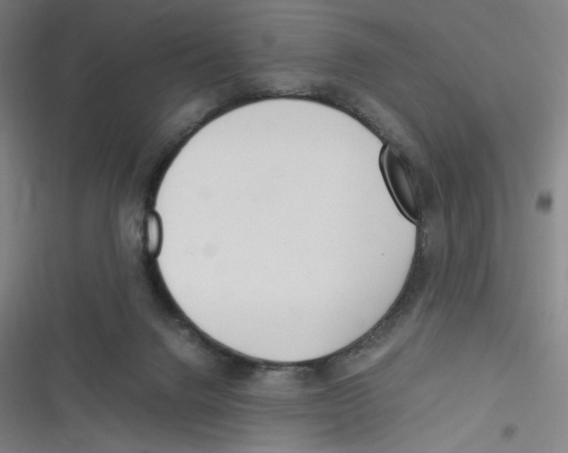 X0000116620072201001081240