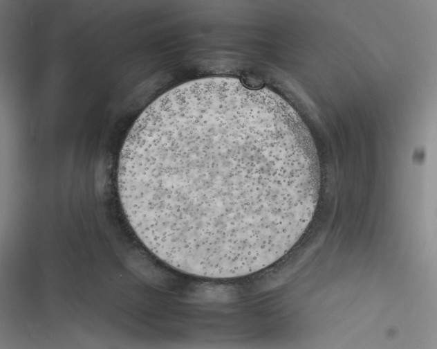 X0000116620073201001081240