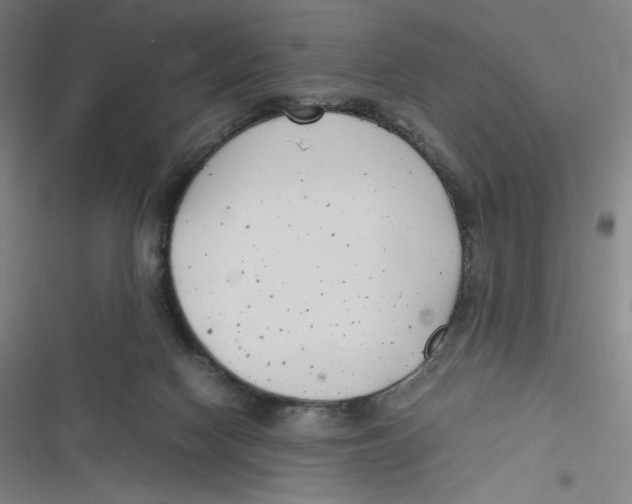 X0000116620074201001081240