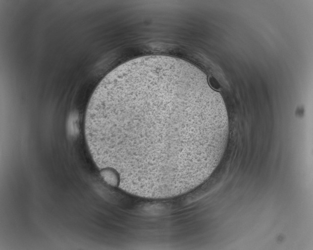 X0000116620075201001081240