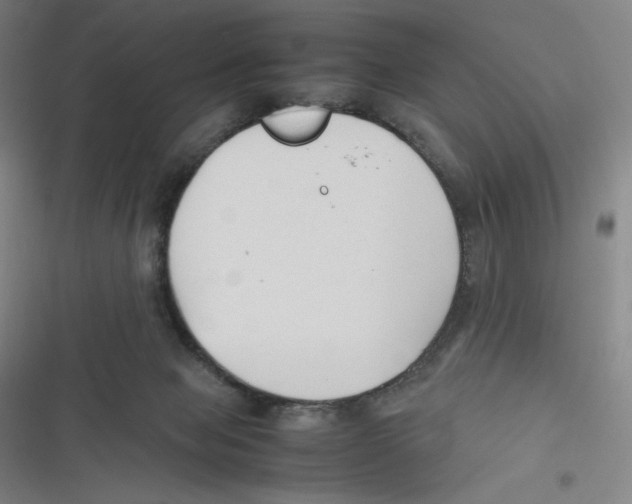 X0000116620077201001081240