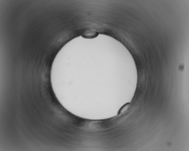 X0000116620078201001081240