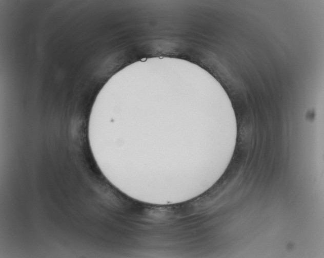 X0000116620079201001081240