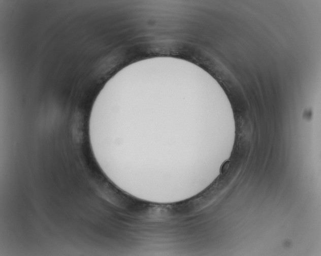 X0000116620080201001081240