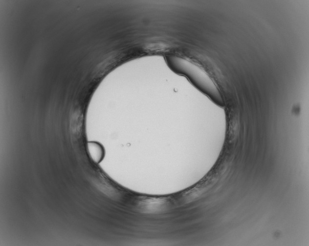 X0000116620081201001081240