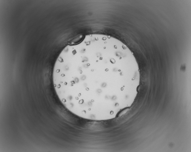 X0000116620082201001081240