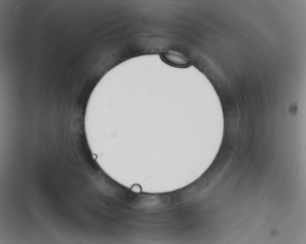 X0000116620083201001081240