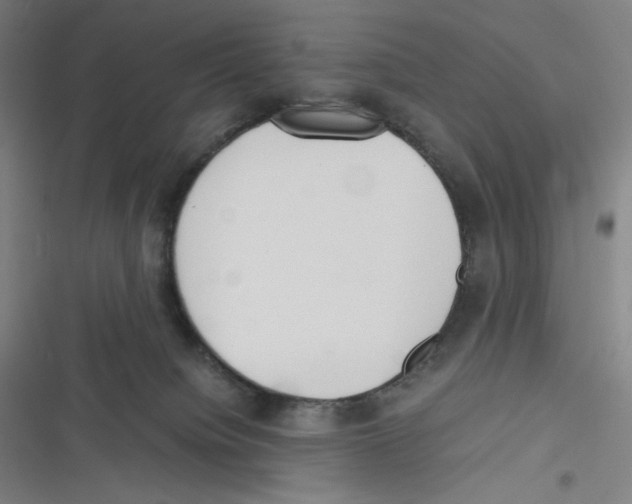 X0000116620084201001081240