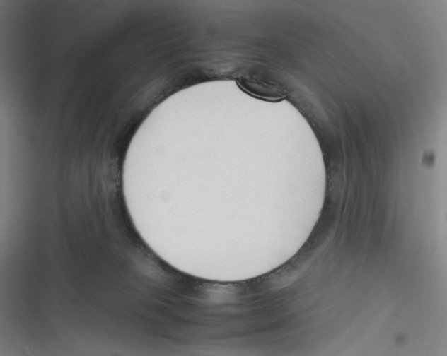 X0000116620085201001081240