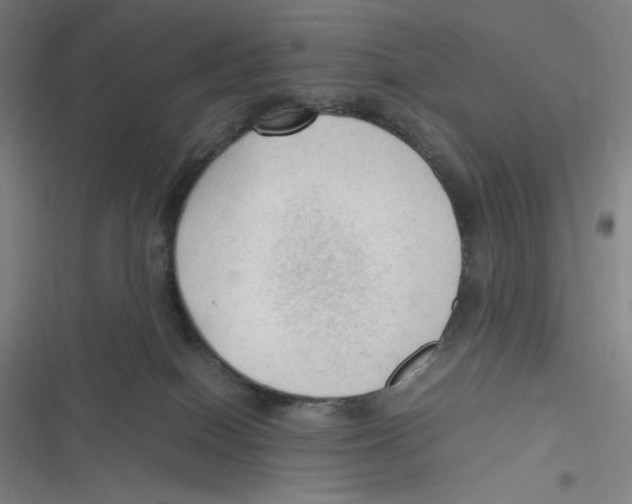 X0000116620086201001081240