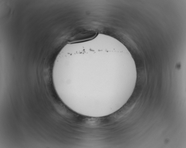 X0000116620088201001081240