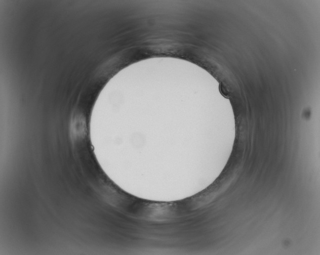 X0000116620089201001081240