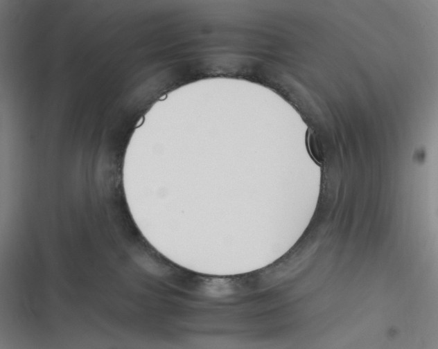 X0000116620091201001081241