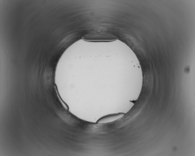 X0000116620092201001081241