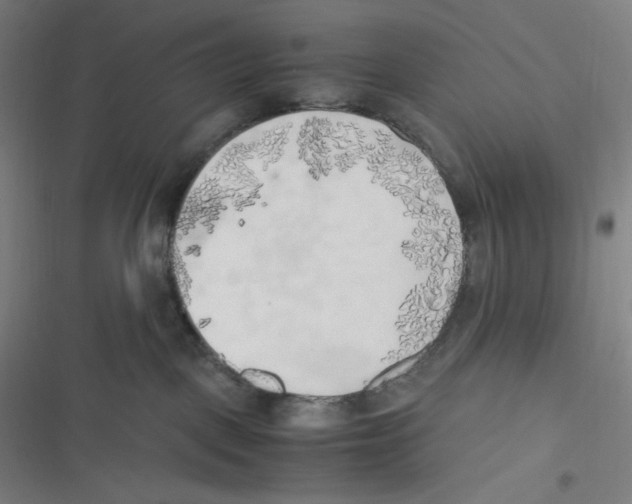 X0000116620093201001081241