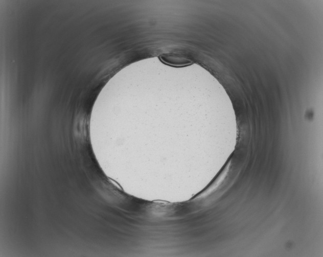 X0000116620094201001081241