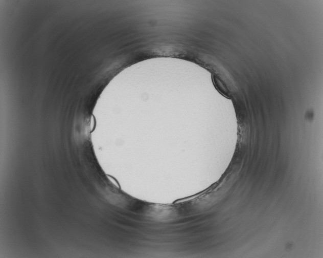 X0000116620095201001081241