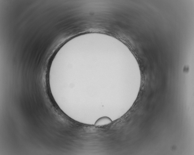 X0000116620098201001081240