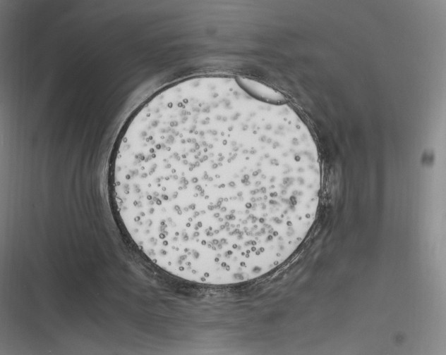 X0000116620099201001081240