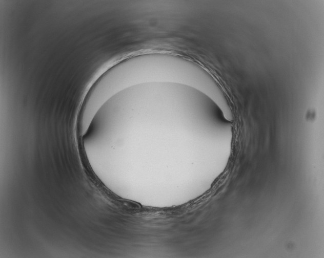 X0000116620100201001081240