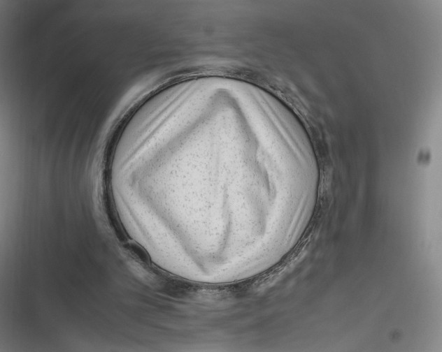 X0000116620101201001081240