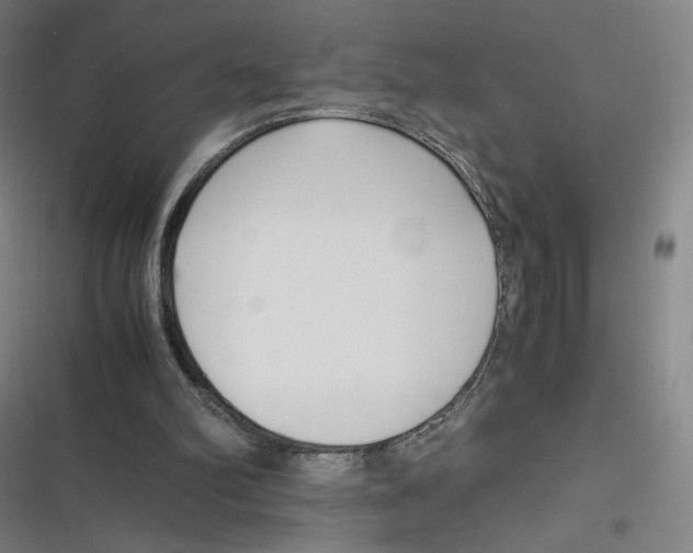 X0000116620102201001081240