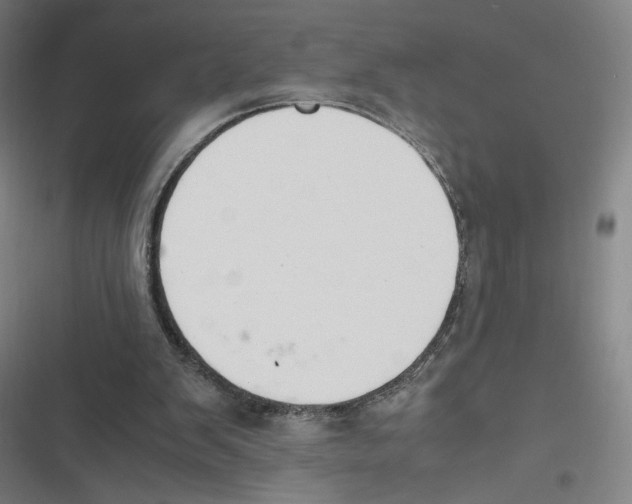 X0000116620103201001081240