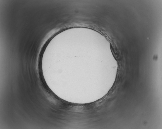 X0000116620104201001081240