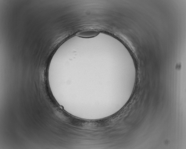 X0000116620105201001081240