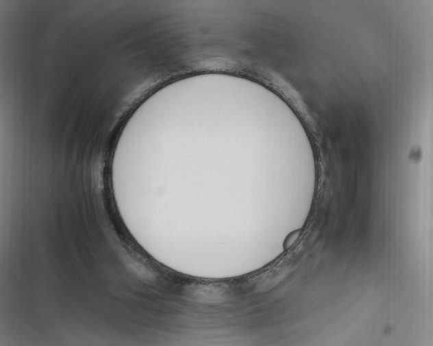 X0000116620106201001081240