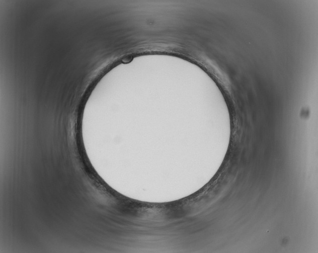 X0000116620107201001081240