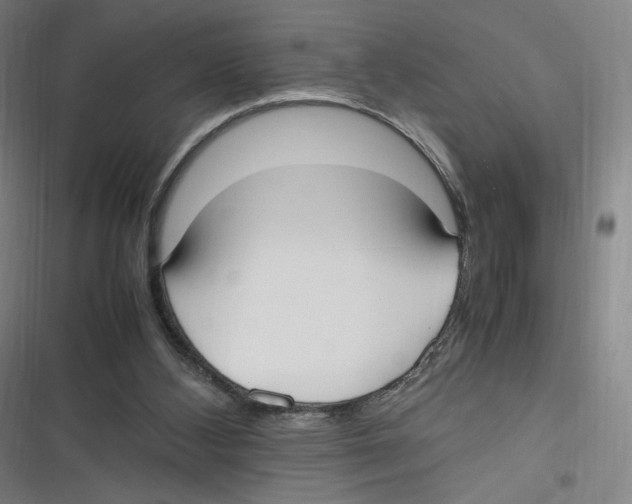 X0000116620108201001081240