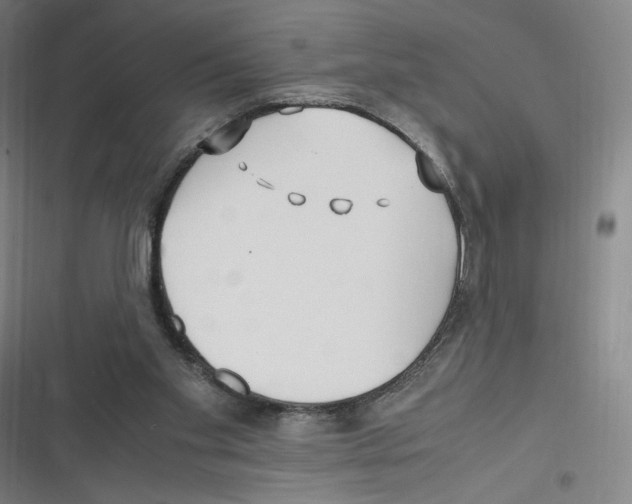 X0000116620109201001081240