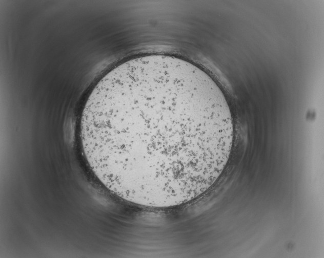 X0000116620110201001081240