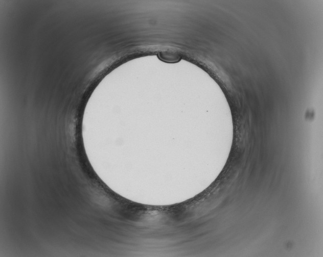 X0000116620111201001081240