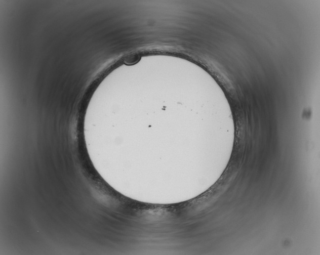 X0000116620112201001081240